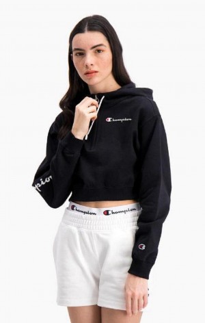 Sweat a Capuche Champion Half Zip-Up Script Logo Arm Hoodie Femme Noir | 9203-AIYFD