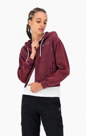 Sweat a Capuche Champion Satin Stitch Script Logo Hoodie Femme Violette Foncé | 7912-YSPZX