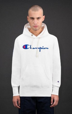 Sweat a Capuche Champion Script Logo Reverse Weave Hoodie Homme Blanche | 7904-KBQIU