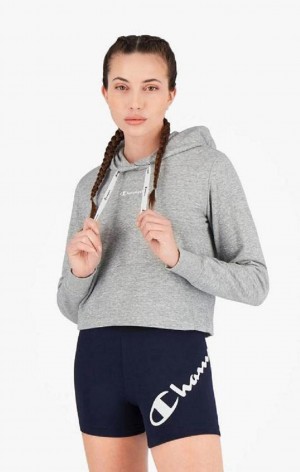 Sweat a Capuche Champion Small Script Logo Hoodie Femme Grise Clair | 8913-QBWLT