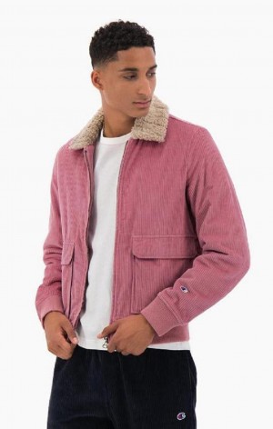 Vestes Champion Corduroy Teddy Collar Bomber Jacket Homme Fushia | 8103-KVSWY