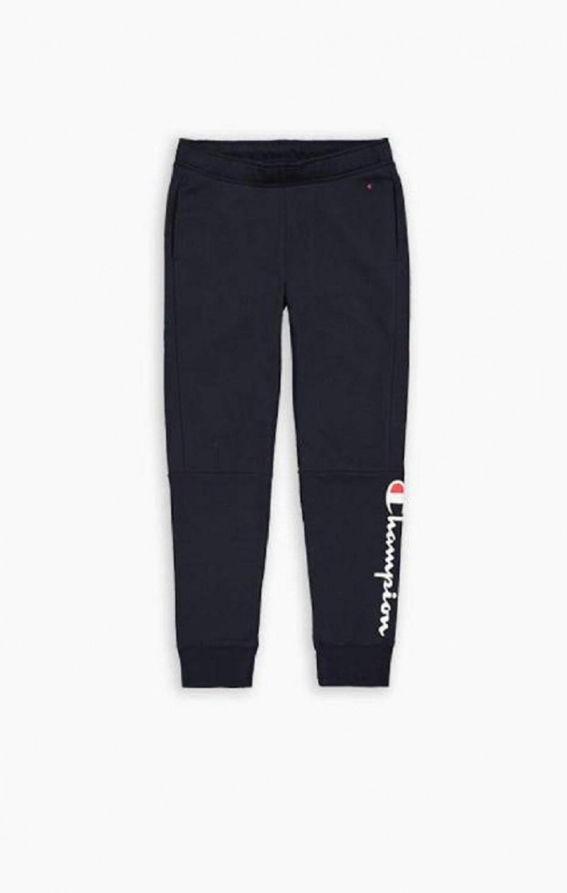 Pantalon Jogger Champion Script Logo Coton Terry Joggers Homme Grise Clair | 9261-HGSIA