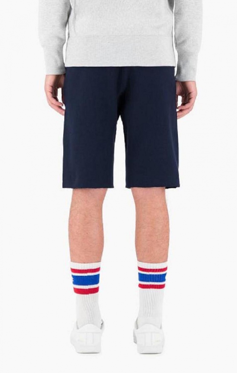 Short Champion Reverse Weave Long Shorts Homme Grise Clair | 2536-WTHPJ