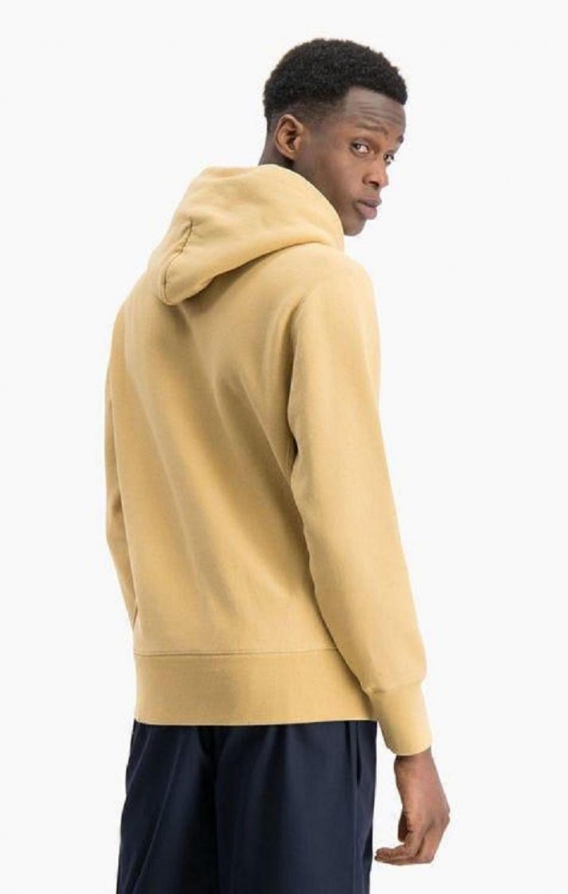 Sweat a Capuche Champion Acid Wash Reverse Weave Hoodie Homme Beige | 2039-FZPUG