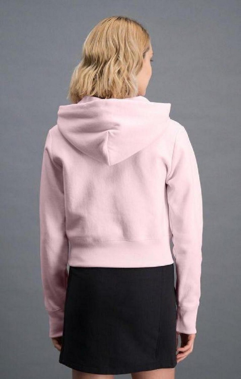 Sweat a Capuche Champion Cropped Reverse Weave Script Logo Hoodie Femme Rose | 7084-HDSAV