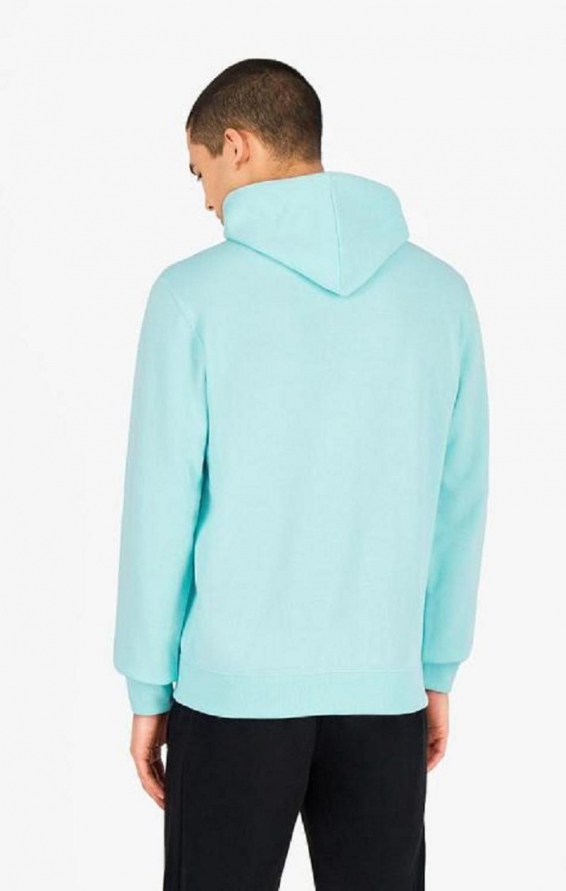 Sweat a Capuche Champion Pastel Box Script Logo Hoodie Homme Bleu Clair | 4580-UICMQ