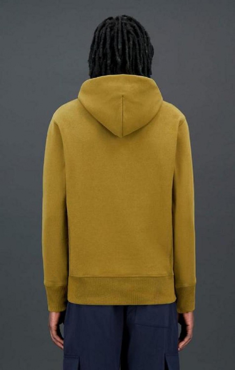 Sweat a Capuche Champion Pittsburgh MLB Reverse Weave Hoodie Homme Vert Olive Vert | 4721-RALNB