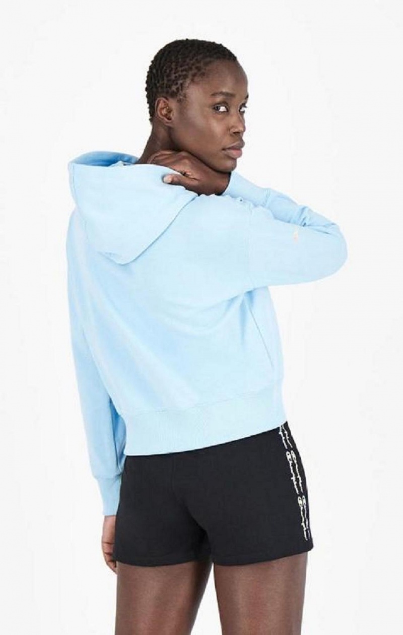 Sweat a Capuche Champion Rainbow Script Logo Hoodie Femme Bleu Clair | 2148-TMHIE