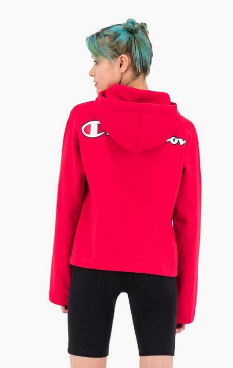 Sweat a Capuche Champion Satin Stitch Script Logo Hoodie Femme Rouge | 8357-FITRW