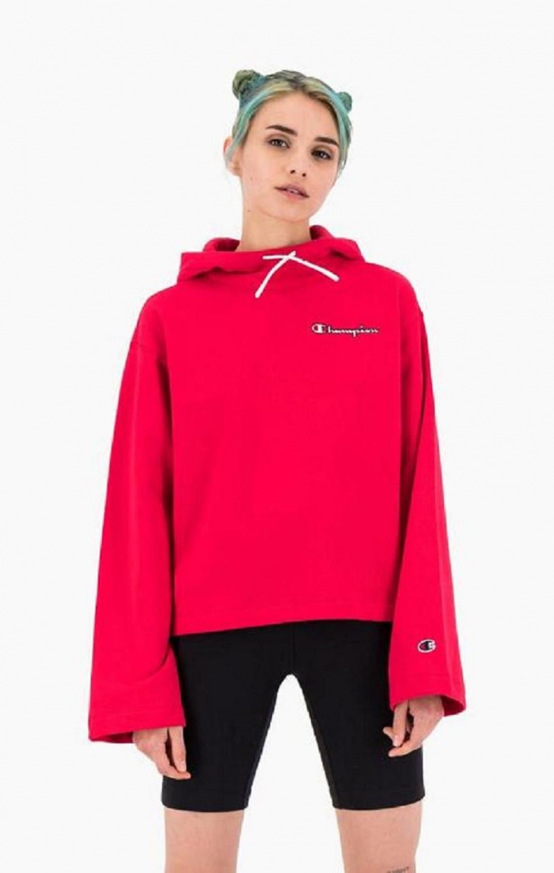 Sweat a Capuche Champion Satin Stitch Script Logo Hoodie Femme Rouge | 8357-FITRW