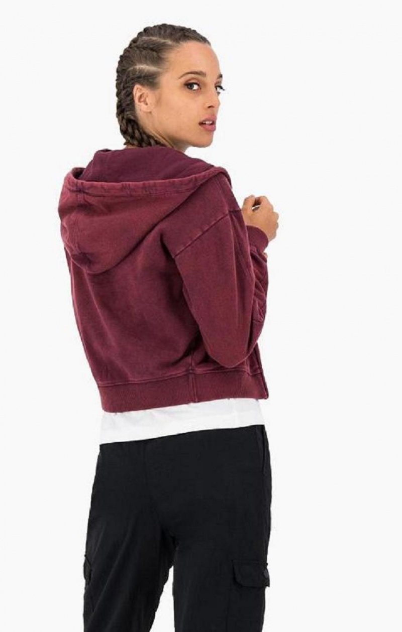 Sweat a Capuche Champion Satin Stitch Script Logo Hoodie Femme Violette Foncé | 7912-YSPZX