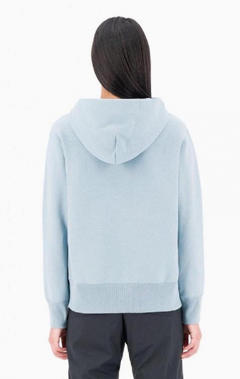 Sweat a Capuche Champion Script Logo Reverse Weave Hoodie Femme Turquoise Bleu | 1945-PXNFK