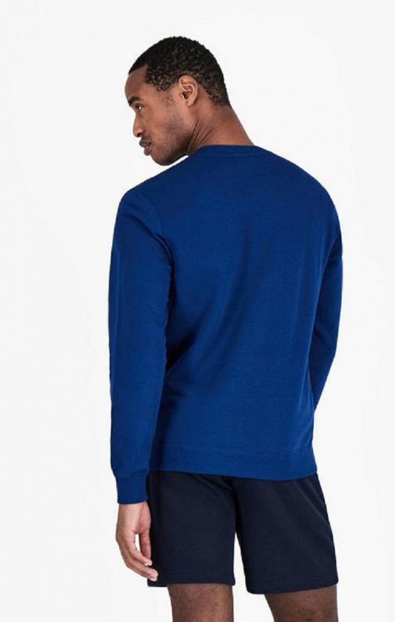 Sweats Champion Colour Block Script Logo Sweatshirt Homme Bleu | 8953-IBUSK