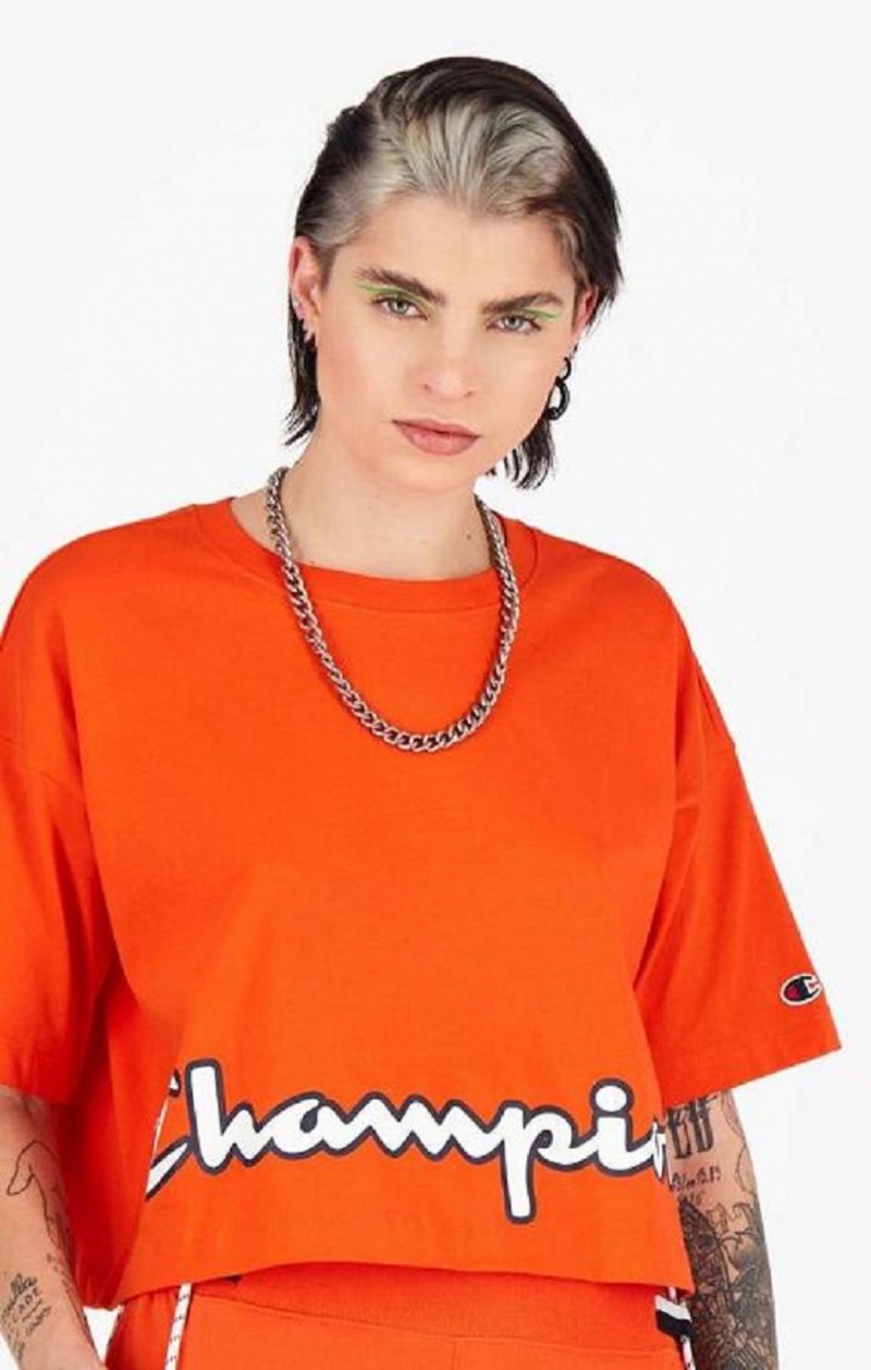 T Shirts Champion Cropped Script Logo T-Shirt Femme Orange | 3160-NJLFR