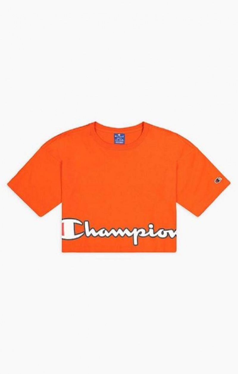 T Shirts Champion Cropped Script Logo T-Shirt Femme Orange | 3160-NJLFR