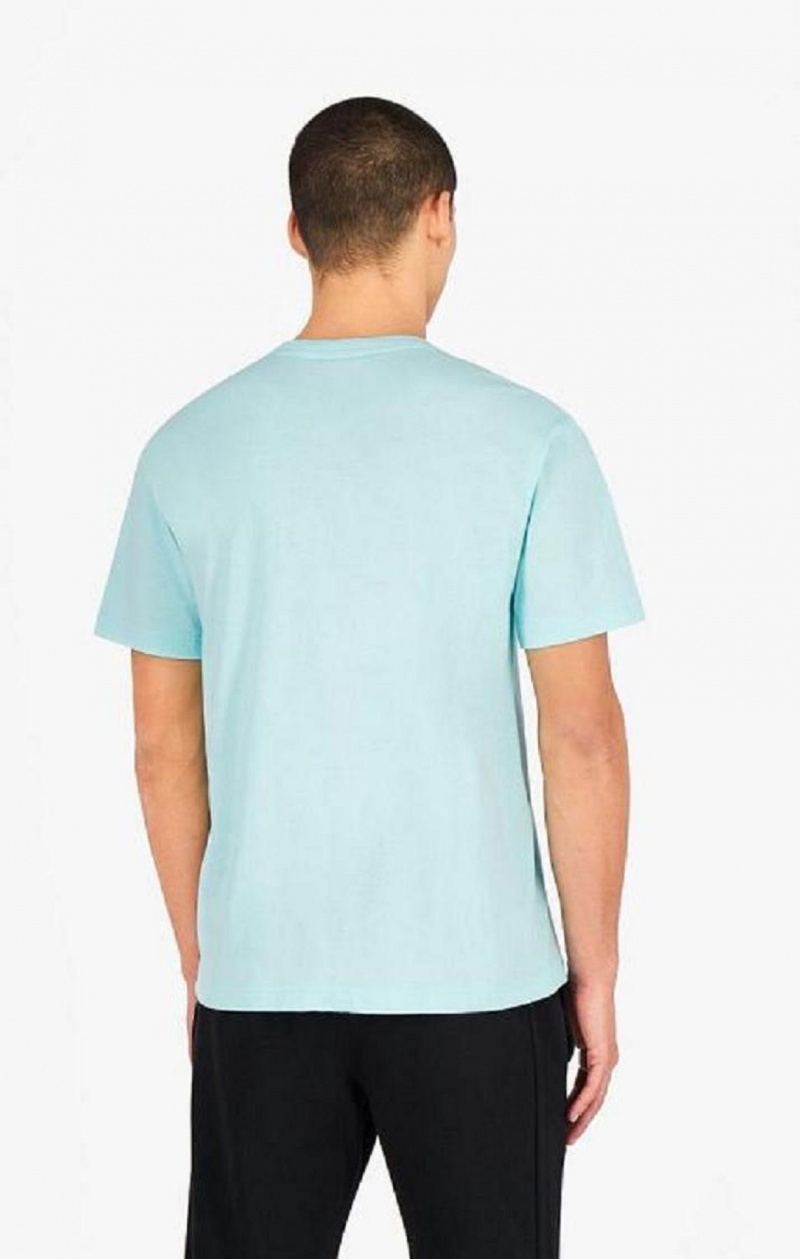 T Shirts Champion Pastel Box Script Logo T-Shirt Homme Bleu Clair | 4280-SRCAG